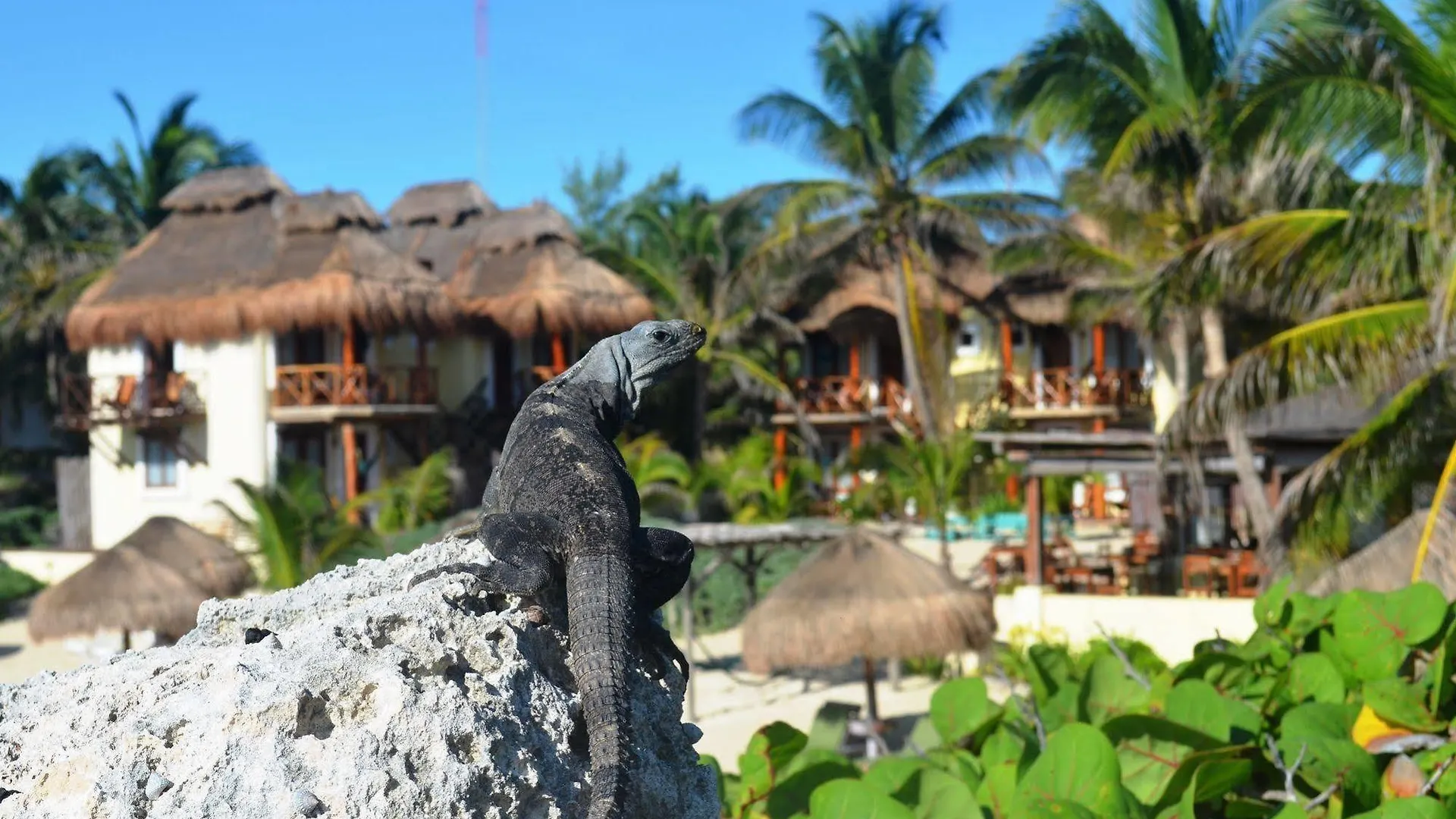 Hotel Piedra Escondida Tulum