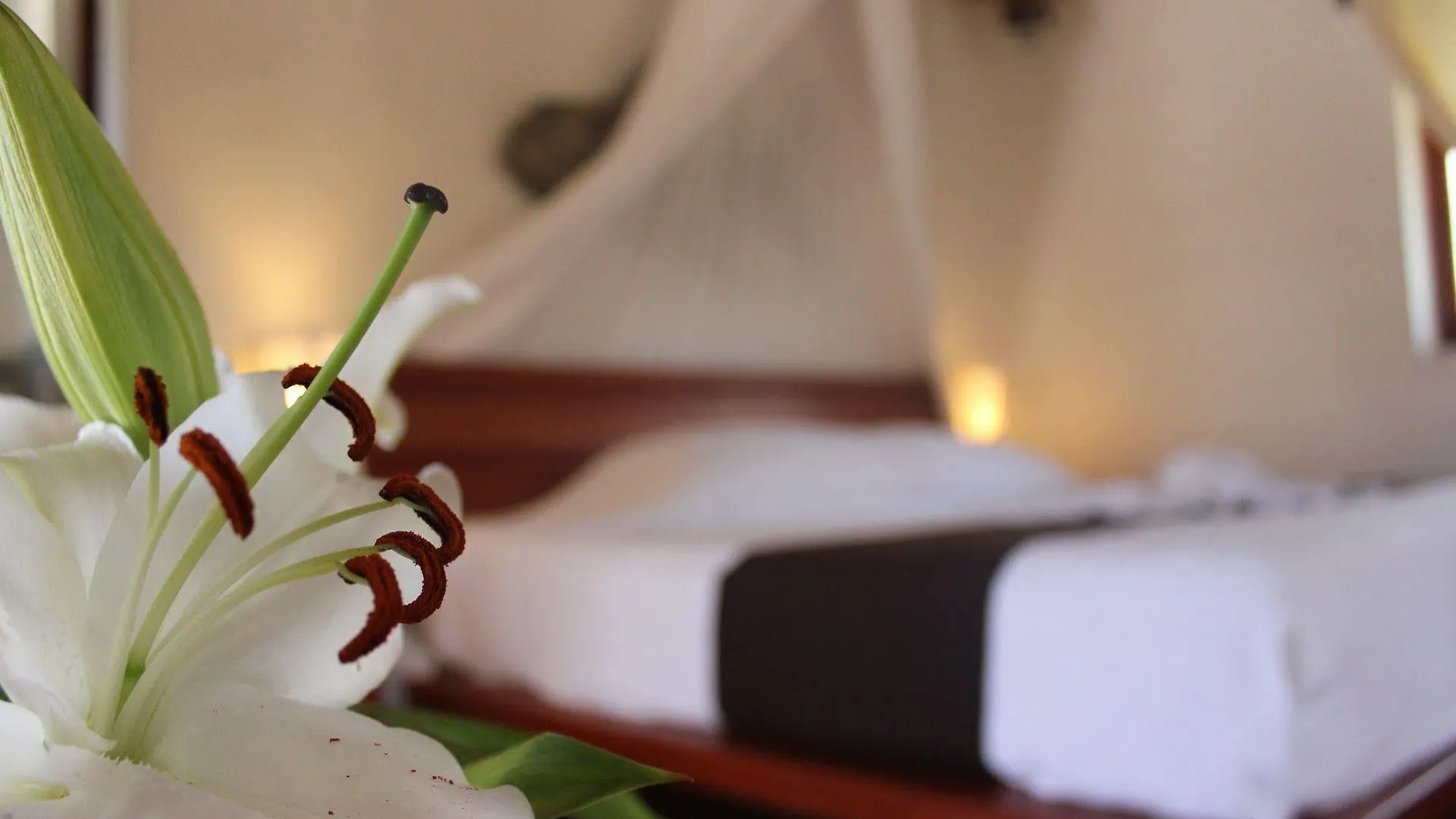 ***  Hotel Piedra Escondida Tulum Mexique